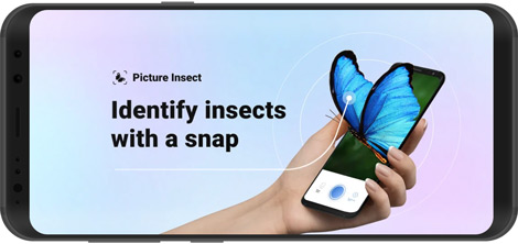 Download Picture Insect & Spider ID 2.7.18 - Insect Identification for Android