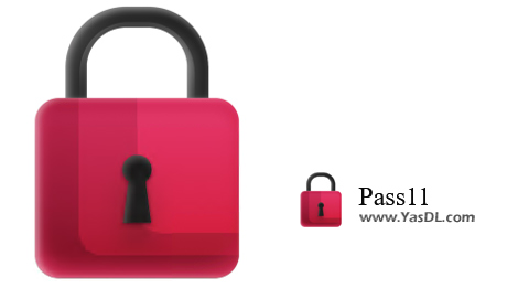 Download Pass11 0.0.3 - Passport security testing software