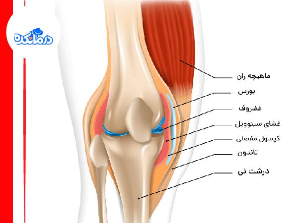images 1669539419 - Symptoms and treatment of knee cruciate ligament rupture