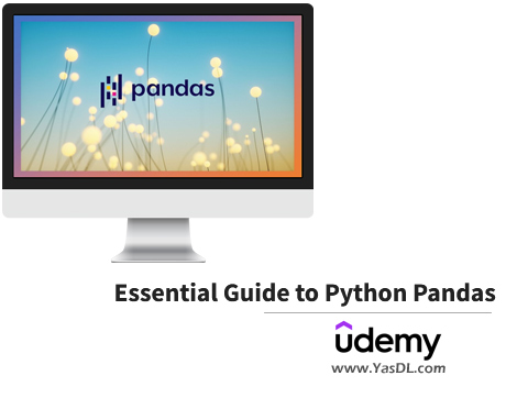 Download Pandas training in Python - Essential Guide to Python Pandas - Udemy