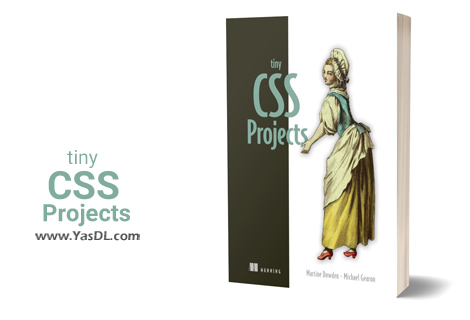 Download the book 12 Tiny CSS Projects - PDF